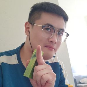 龙理