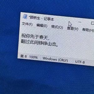 自是春风一少年