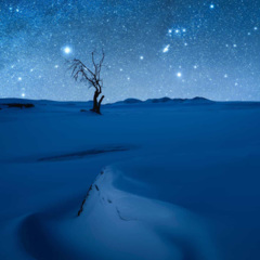 听!是谁在唱歌?