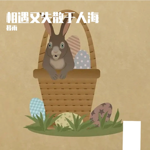 相遇又失散于人海