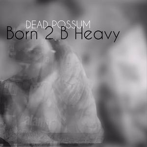 Born 2 B Heavy (feat. Da Possum AssMasterz)