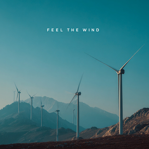 Feel the Wind