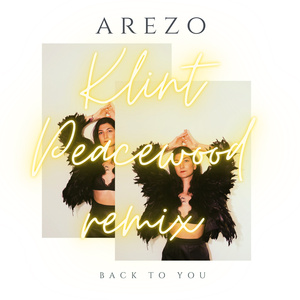 Back to you (Klint Peacewood Remix)