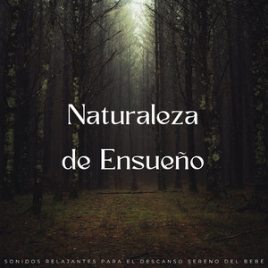 Sereno Retiro