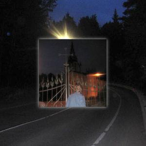 лох серебристый