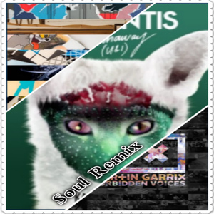 Soul - Martin Garrix & Mesto vs. Galantis - WIEE vs Forbidden Voices vs Runaway (Soul Mashup)