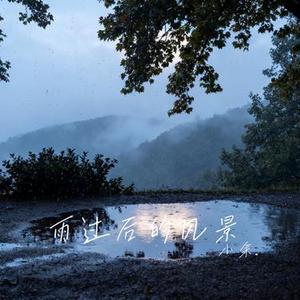 雨过后的风景 (小余. Remix)