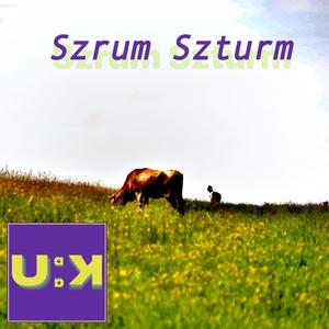 Szrum Szturm