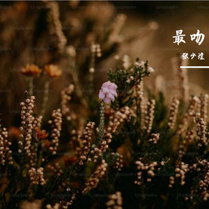 最吻 轻柔版、吻柔版舒适缘订版