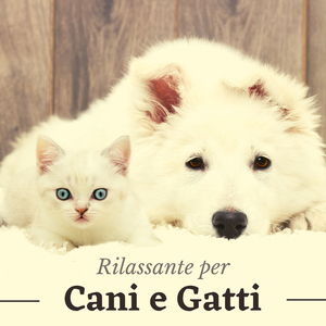 Sempre assieme