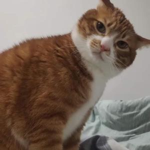 Twilight Reverberation