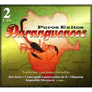 Como Pude Enamorarme De Ti