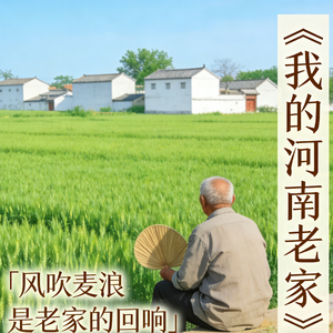 我的河南老家