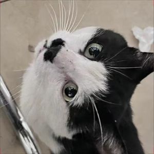 我应该去爱你_20230722_015032