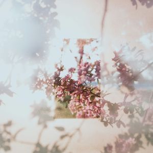 ''还阳'' 孟菲斯&BOBBYNOPEACE Type Beat