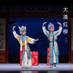 丈夫病亡