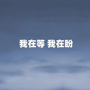 我在等我在盼
