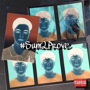 Sum 2 Prove (Big D)