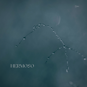 Hermoso
