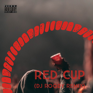 Red Cup (DJ Roody Remix)