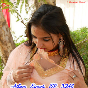 Aslam Singer SR 3248