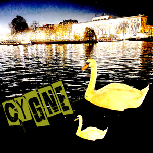 Cygne