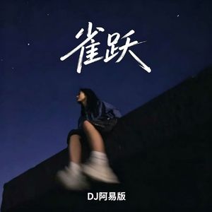 雀跃（DJ阿易版）