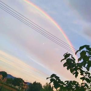 熬夜上瘾（翻自 刘亦心（可乐就是力量））