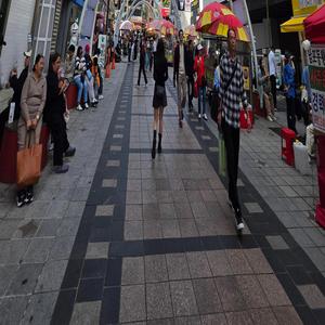 감성 재즈 트럼펫