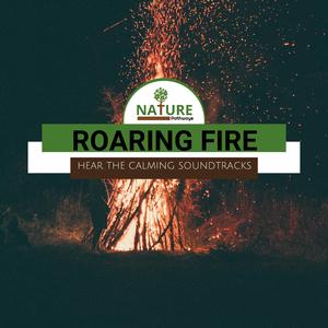 A Breezy Country Morning