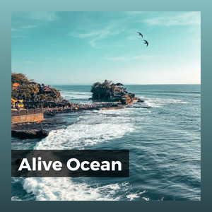 The Glue in the Universe