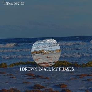 Why Bother Sleeping? (feat. enrique27naveda & ZakharValaha)