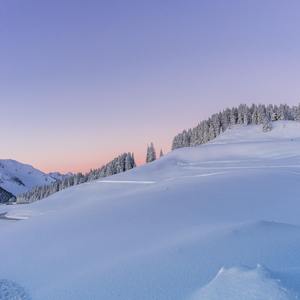 123我爱你（抖音热搜纯享版）