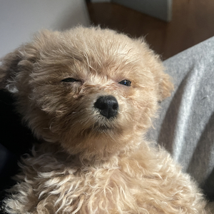 希望Taotao活到100岁