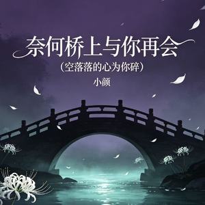 奈何桥上与你再会 (空落落的心为你碎)