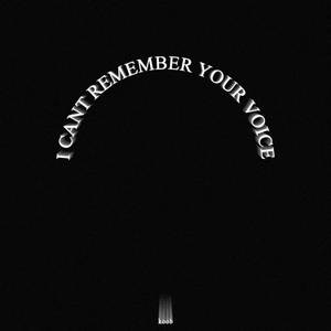 I CANT REMEMBER YOUR VOICE