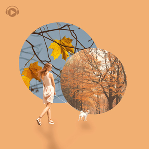 Shadow of You (feat. therapon)