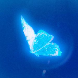 dilemma!(feat.SIETE7,acfresh)