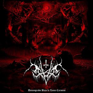 TRASCENDER EN LA OSCURIDAD