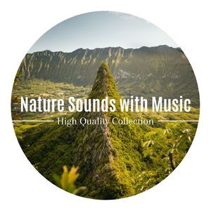 Calming Nature Sounds