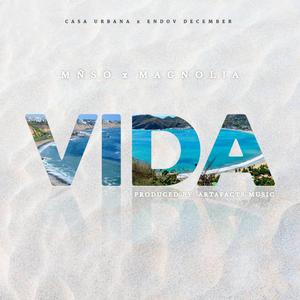 VIDA (feat. Magnolia)