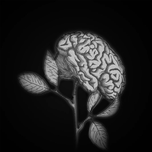 Genuina (Mente)