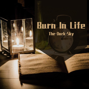 Burn in Life