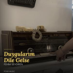 Duygularım Dile Gelse