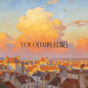 YOLO(DJ咚鼓版)