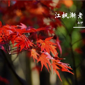 仆算子 江枫渐老