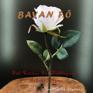 Ben Ankara'ya Sevgilimi Görmeye Geldim