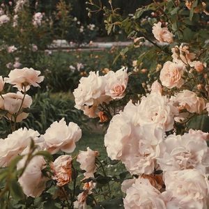 時代を超える想い（Launchpad钢琴曲）