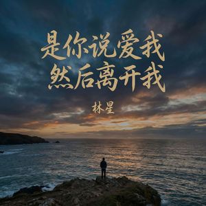 是你说爱我 然后离开我