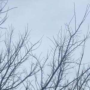 do u think of me at all? (feat. Vexxodus & Soulcast)